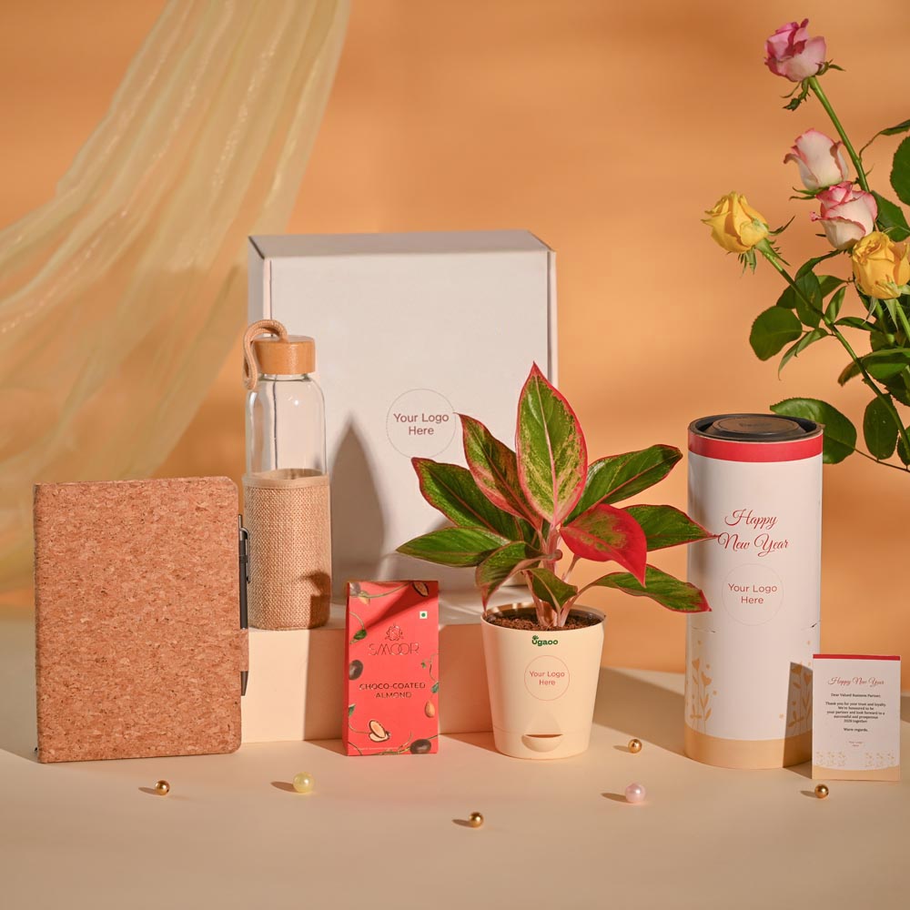 Aglaonema Gifting Set