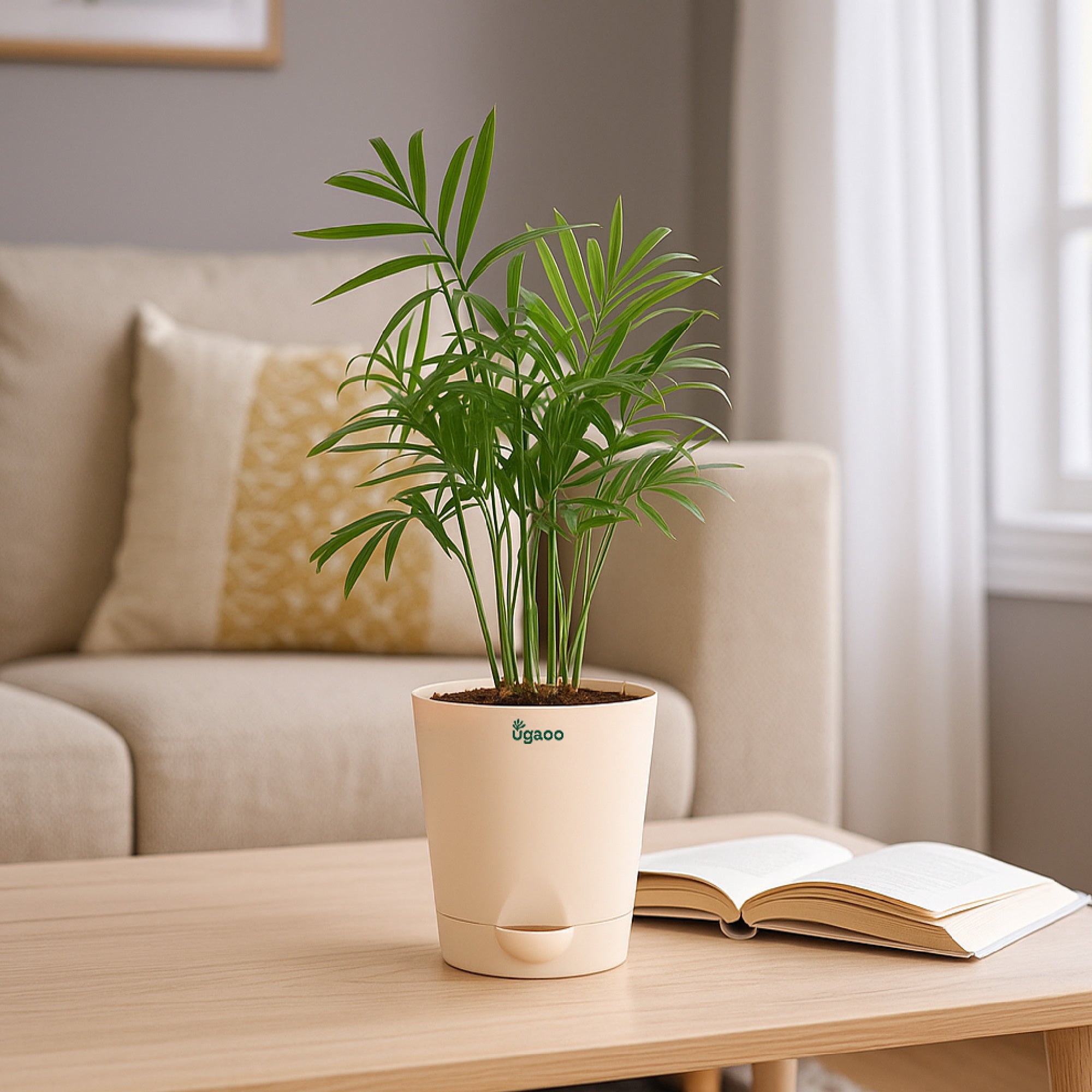 Bamboo Palm Plant with Self-Watering Pot