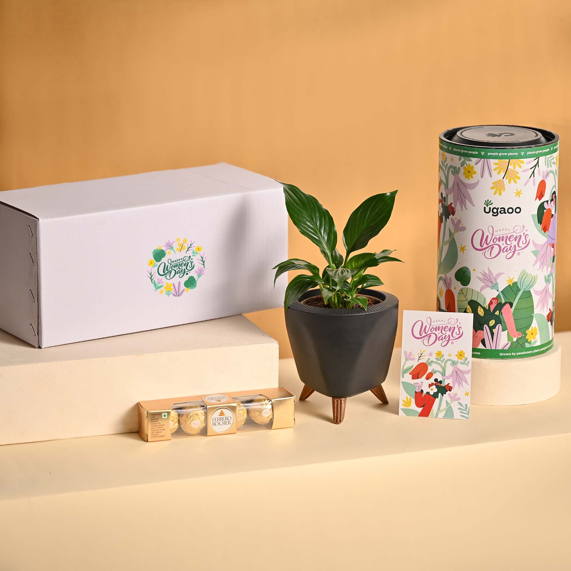Grace & Growth – Women’s Day Plant & Chocolate Hamper