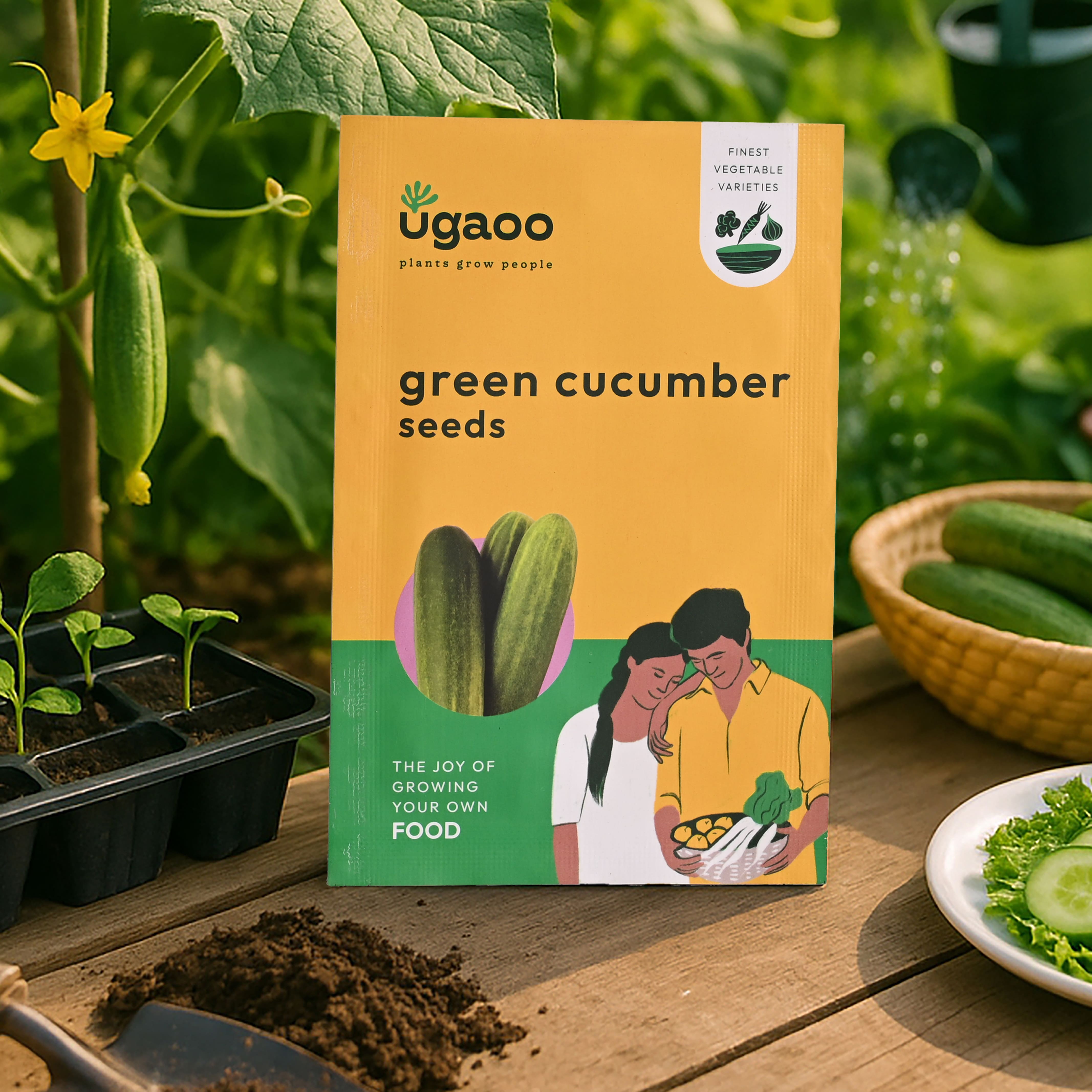 Green Cucumber
