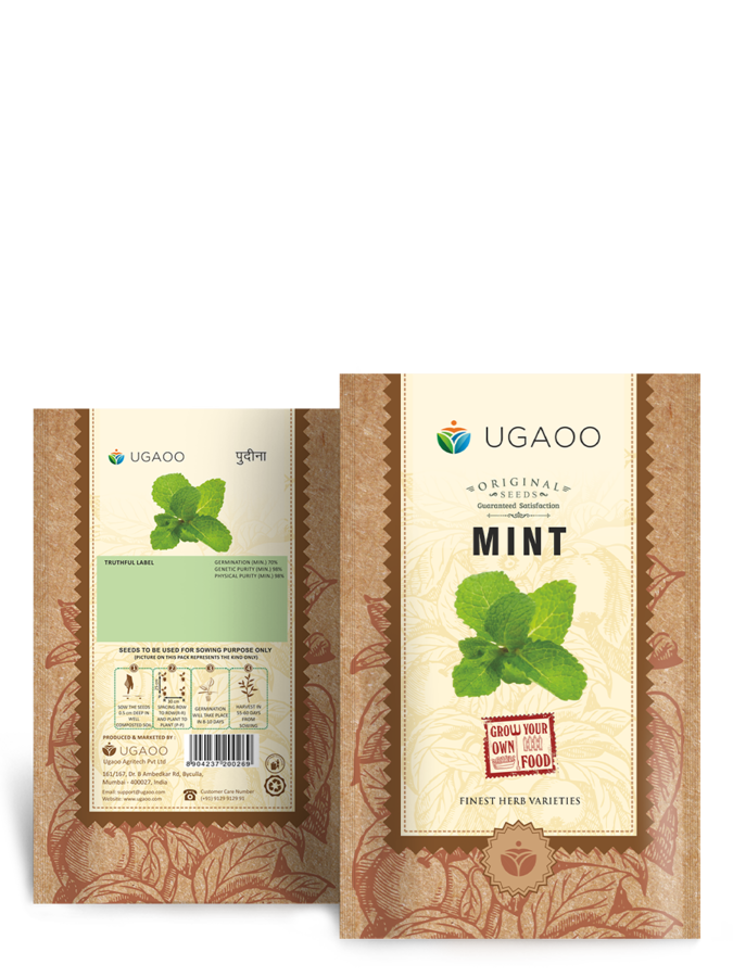 Mint