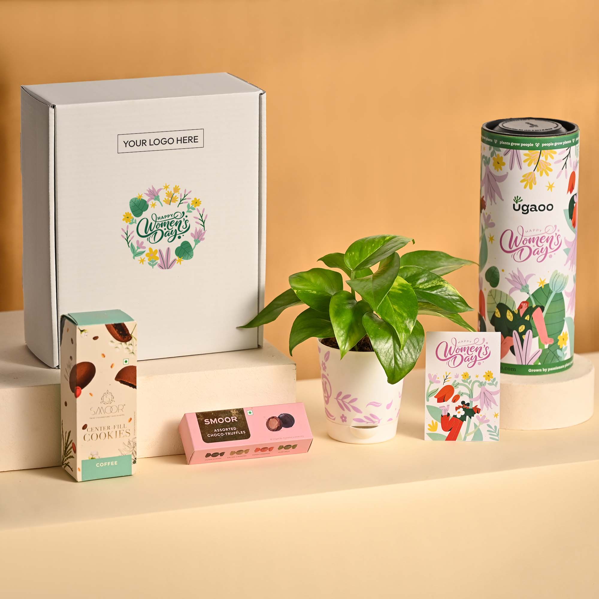 Prosper & Shine Hamper