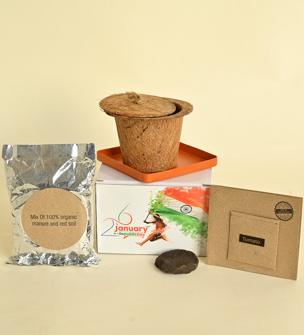 Tomato Plant DIY Kit
