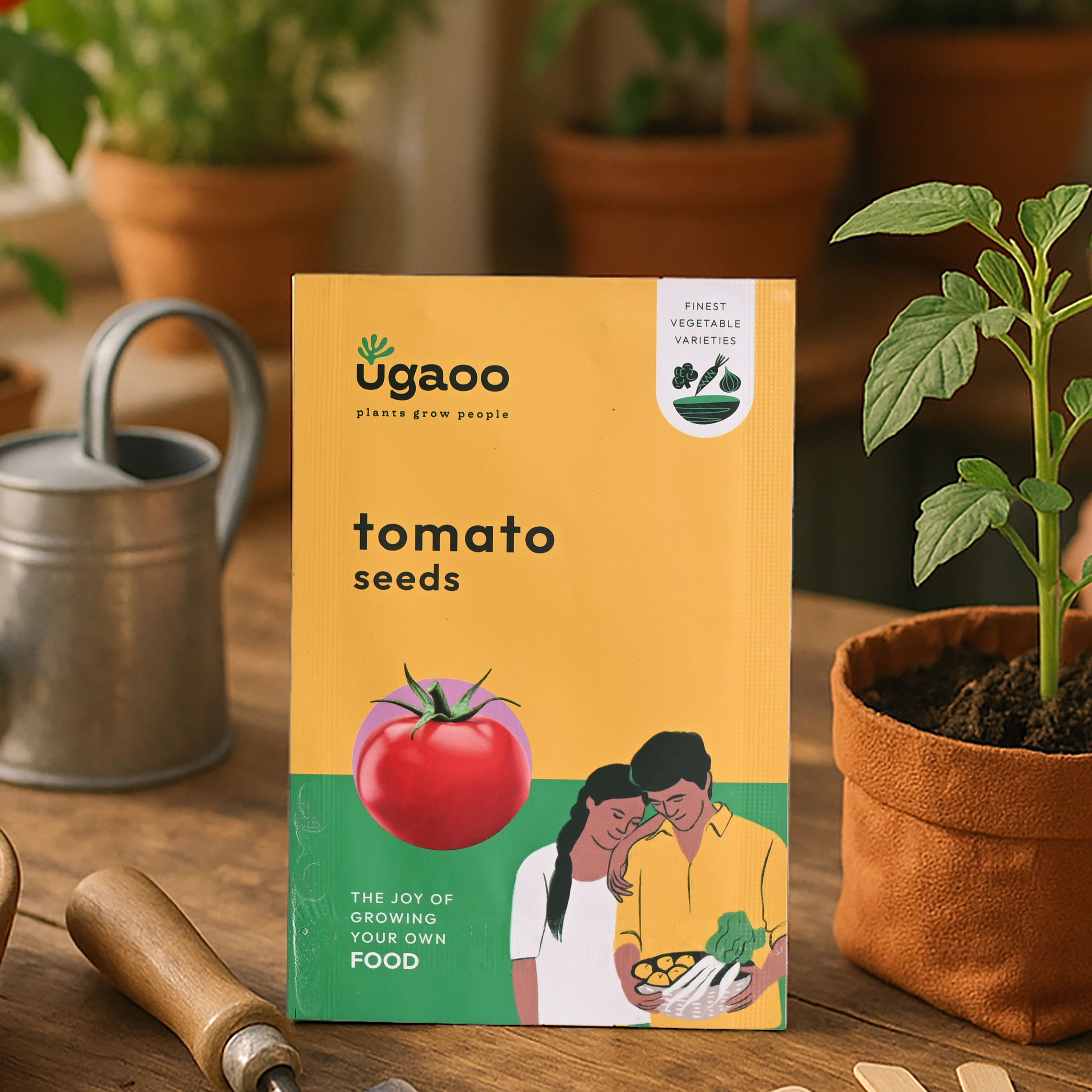 Tomato