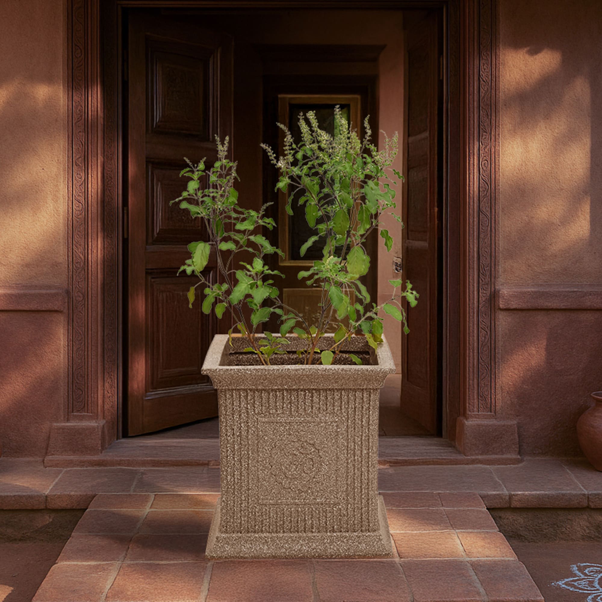 Tulsi Pot for Home
